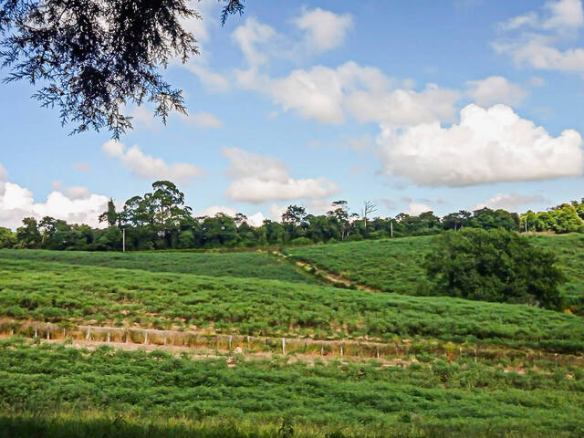 Sítio para Venda em Atibaia - 5