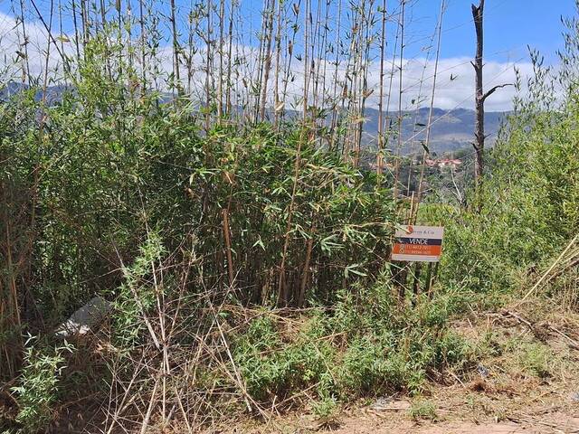 #43 - Terreno para Venda em Atibaia - SP