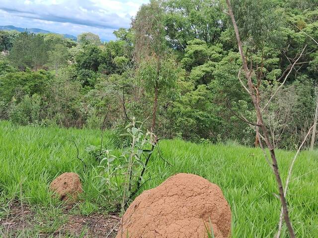 #44 - Área para Venda em Atibaia - SP