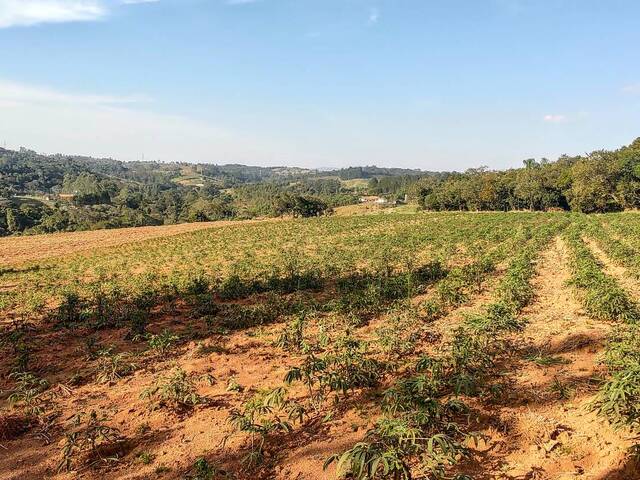 Sítio para Venda em Atibaia - 4