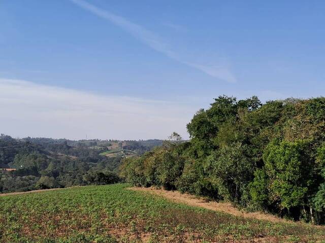 Sítio para Venda em Atibaia - 2