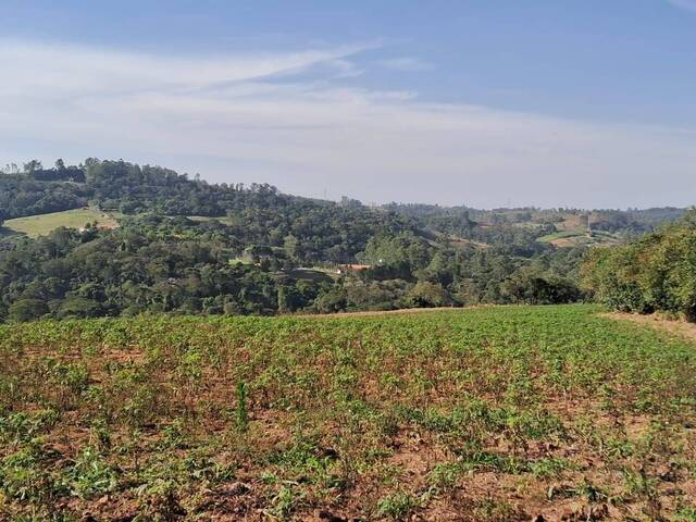 Sítio para Venda em Atibaia - 3