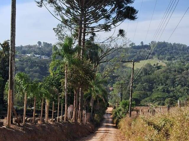 Sítio para Venda em Atibaia - 5